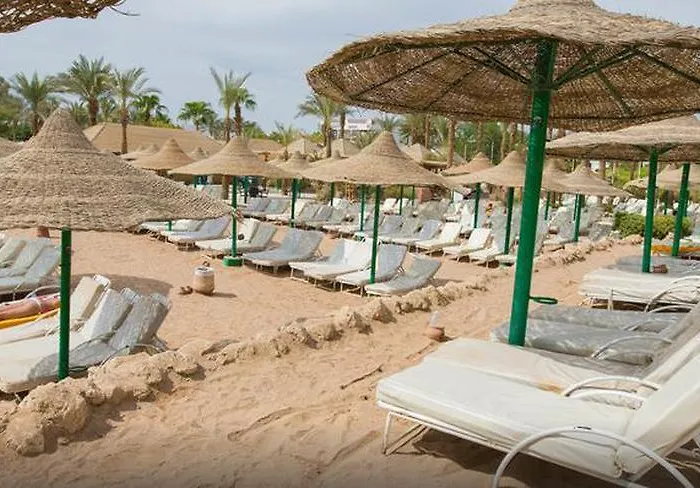 Oonas Dive Club