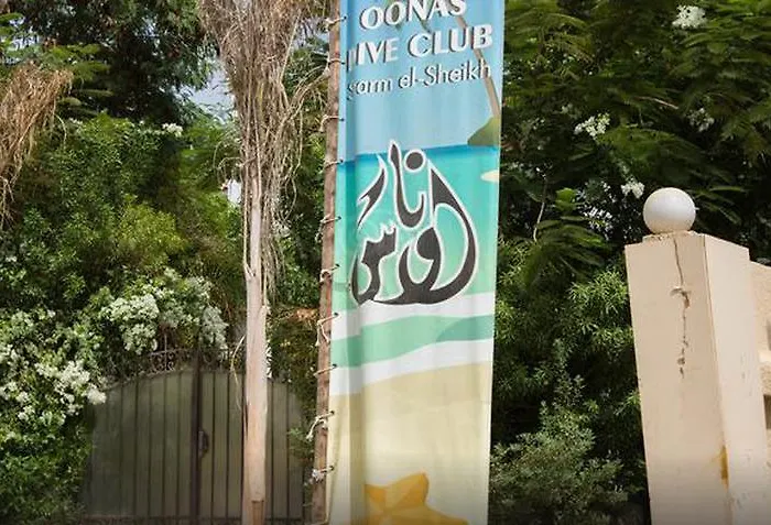 Oonas Dive Club