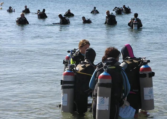 Oonas Dive Club