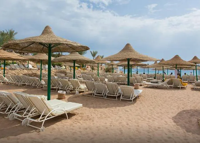Oonas Dive Club