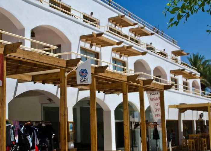 Oonas Dive Club 2*